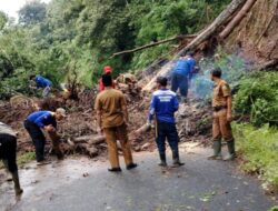 Tebing Setinggi 20 Meter Longsor, Jalan Bukanagara-Darmaga Tertutup