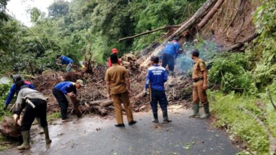 Tebing Setinggi 20 Meter Longsor, Jalan Bukanagara-Darmaga Tertutup