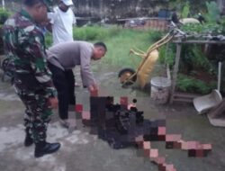 Ditemukan,Pria Paruhbaya di Purwakarta Diduga Dibunuh OTK, Dengan Luka 5 Tusukan
