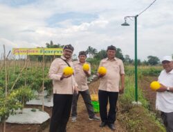 Panen Melon Perdana Jembar Farm di Sambut Warga dan Dihadiri Sekretaris DPD HKTI Provinsi Jawa Barat