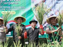 Panen Raya Padi Serentak: Simfoni Kemakmuran dan Ketahanan Pangan Nasional