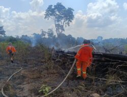BPBD Lamandau Berhasil Padamkan Kebakaran Lahan 0,5 Hektare di Nanga Bulik