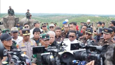 Penyelamatan Tesso Nilo: Langkah Tegas Pemulihan Paru-paru Dunia di Riau