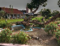 Ninding,Tokoh Peduli Lingkungan Miliki Gagasan Rubah Lahan Kumuh, Jadi Tempat Wisata