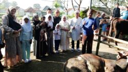 Moment Idul Adha 1446 H Anggota DPRD Kota Tasik Hj Siti Hajar Juharah, Salurkan Hewan Qurban Sapi Untuk Masyarakat Cibatur RW 12