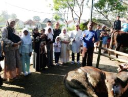 Moment Idul Adha 1446 H Anggota DPRD Kota Tasik Hj Siti Hajar Juharah, Salurkan Hewan Qurban Sapi Untuk Masyarakat Cibatur RW 12
