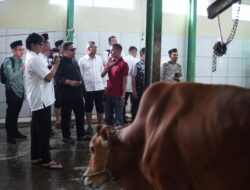 Bupati Kang Rey dan Wakil Bupati Subang Kang Akur Saksikan Penyembelihan Sapi Bantuan Presiden