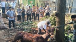 Momentum Idul Adha 1446 H, Polres Purwakarta Serahkan 34 Hewan Kurban Kepada Masyarakat dan Pondok Pesantren