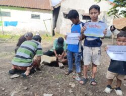 Idul Adha 1446 H, Yayasan Mizan Amanah Tebar Kebahagiaan Lewat Kurban untuk Yatim dan Dhuafa