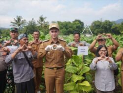 Wakil Bupati Sumedang Hadiri Kegiatan Farmer Field Day Budidaya Tembakau yang Digelar UNWIM Tanjungsari
