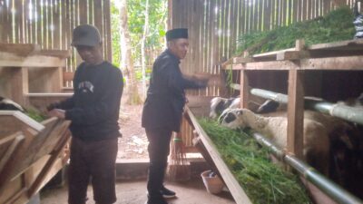Wujudkan Swasembada Pangan, Pemdes Banjarsari Sukaresik Telah Alokasikan Anggaran Penyertaan Modal DD Tahun 2025 Ke BUMDes Mekar Sejahtera