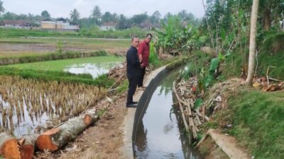 Pemerintah Kecamatan Sukaresik Lakukan Monev DD Tahap 1 Tahun 2025, yang Telah di Laksanakan Pemerintah Desa Banjarsari