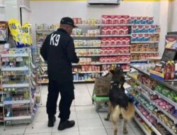 Terjunkan Anjing Pelacak, Polres Purwakarta Lakukan Olah TKP, Ungkap Pelaku Pencurian di Indomaret