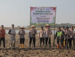 Dukung Program Ketahanan Pangan Nasional, Polres Sumedang Laksanakan Penanaman Benih Jagung di Lahan Baku Sawah