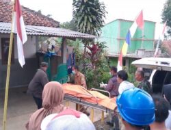 Pekerja Sawit di Serangpanjang Tewas Tersetrum Saat Panen, Diduga Akibat Kabel Listrik