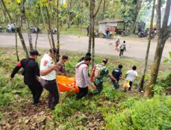 Warga Desa Cijati Dihebohkan Dengan Penemuan Mayat yang Tergantung di Sebuah Pohon