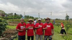Kelucuan dan Keseruan Ratusan Karyawan Rumah Makan Jembar, Ikuti Semarak Lomba 17 Agustus