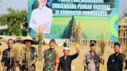 Teknologi Modern Bawa Pertanian ke Era Baru, Hasil Panen Berlimpah Petani Purwakarta Naik Kelas
