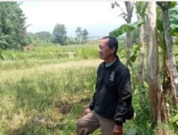 Berhentinya Pekerjaan SPAM di Nagrak Sindangraja, Mihlas Perwakilan CV Lia Jaya: Perminta Warga Lakukan Resepsi Pernikahan