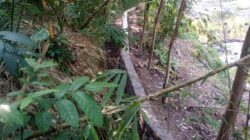 Program P3-TGAI Desa Pasir Jambu Maniis, Diduga Gunakan Matrial Batu dan Pasir dari Kali Sekitar