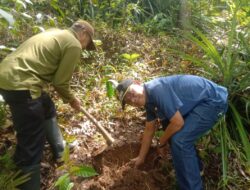 Dukung Program “Leuweung Hejo” Jabar, Pemdes Sukamenak Berkolaborasi Bersama BPP Kecamatan Sukaresik Lakukan Penanaman Pohon 