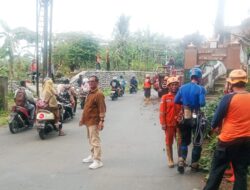 Dapat Laporan Warga, BPBD Kota Tasik Gercep Lakukan Evakuasi Pohon Rawan Tumbang di Kelurahan Bantarsari