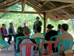 Sebanyak 1500 Pohon Ditanam di Desa Kamal, Kodim 0610/Sumedang Gelar Program Pembinaan Lingkungan Hidup
