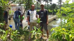 Panen Perdana Ikan, BUMDes Sugih Mukti Desa Bojong Kecamatan Parigi Raup Hasil Menggembirakan