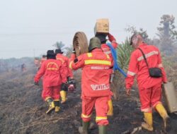 Pemprov Riau Keluarkan SK Tetapkan Status Siaga Darurat Karhutla