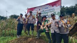 Dukung Program Ketahanan Pangan Nasional, Polsek Jalan Cagak Bersama Kelompok Tani Cinangka Satu Ciseuti Laksanakan Panen Jagung Hibrida