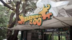 Serikat Pekerja Bandung Zoo Apresiasi Skema Walikota