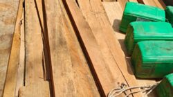 Polres Bengkalis Ungkap Praktik Ilegal logging di Wilayah Kecamatan Siak Kecil