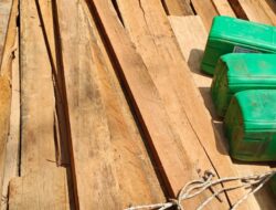 Polres Bengkalis Ungkap Praktik Ilegal logging di Wilayah Kecamatan Siak Kecil