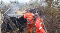 Upaya Penanganan Karhutla di Provinsi Riau Terus Berlangsung Hingga Akhir Maret 2026, Capai Ribuan Hektar 