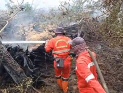 Upaya Penanganan Karhutla di Provinsi Riau Terus Berlangsung Hingga Akhir Maret 2026, Capai Ribuan Hektar 