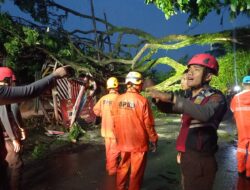 Sigap dan Terkoordinasi, Polres Tasikmalaya Kota Bersama Tim Gabungan Tangani Pohon Tumbang