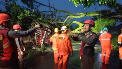 Sigap dan Terkoordinasi, Polres Tasikmalaya Kota Bersama Tim Gabungan Tangani Pohon Tumbang