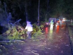 Telah Terjadi Pohon Tumbang Tutupi Jalan Raya Kasomalang, Polsek Jalan Cagak Bersama Lintas Sektoral Lakukan Evakuasi