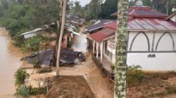 Tingginya Intensitas Hujan, Sungai Subayang Meluap, Delapan Desa di Kecamatan Kampar Kiri Hulu Banjir Bandang