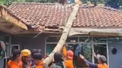 BPBD Kabupaten Tasikmalaya Lakukan Evakuasi Pohon Tumbang, Dua Rumah Warga Desa Papayan yang Tertimpah