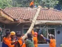 BPBD Kabupaten Tasikmalaya Lakukan Evakuasi Pohon Tumbang, Dua Rumah Warga Desa Papayan yang Tertimpah