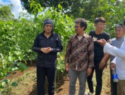 Pantau Kebun Sacha Inchi, Diky Chandra, Akan Dukung Selama Komoditas Memberi Manfaat Ekonomi dan Tidak Merusak Ekosistem
