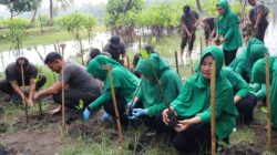 HUT Persit ke-80, Dandim 0625 Pangandaran Bersama Ketua Persit Laksanakan Bakti Sosial Tanam 1.000 Mangrove