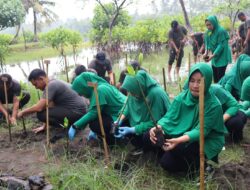 HUT Persit ke-80, Dandim 0625 Pangandaran Bersama Ketua Persit Laksanakan Bakti Sosial Tanam 1.000 Mangrove
