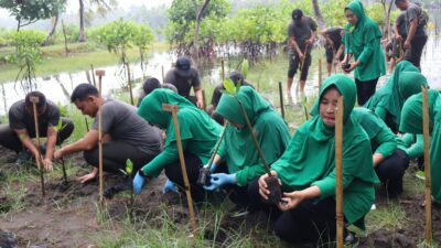 HUT Persit ke-80, Dandim 0625 Pangandaran Bersama Ketua Persit Laksanakan Bakti Sosial Tanam 1.000 Mangrove