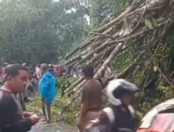 Pohon Tumbang dan Menutup Jalan Utama Penghubung Papayan-Salopa, Tim BPBD Kabupaten Tasikmalaya Bersama Unsur Terkait Lakukan Evakuasi
