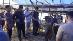 Jelang Idul Adha, Plh Walikota Tasikmalaya Laksanakan Monitoring di Lapak Penjual Hewan Qurban