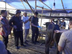Jelang Idul Adha, Plh Walikota Tasikmalaya Laksanakan Monitoring di Lapak Penjual Hewan Qurban