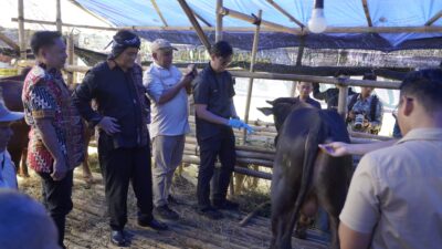 Jelang Idul Adha, Plh Walikota Tasikmalaya Laksanakan Monitoring di Lapak Penjual Hewan Qurban