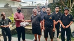Dibalut Suasana Kekeluargaan, Pemilik RM Jembar Bagikan Daging Kurban Kepada Ratusan Karyawan